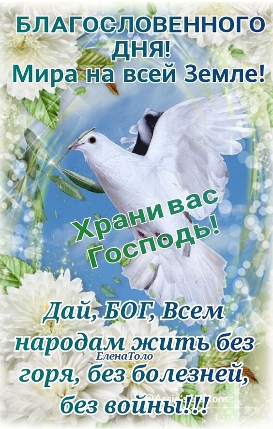 Духовная открытка с белым голубем и пожеланием мира: «Благословенного дня! Мира на всей Земле! Храни вас Господь!». Пожелание добра, здоровья и отсутствия войн. Открытка Благословенного дня! Мира на всей Земле! Храни вас Господь! Открытка с изображением белого голубя как символа мира на фоне голубого неба и белых цветов. На картинке размещен текст на русском языке: «БЛАГОСЛОВЕННОГО ДНЯ! Мира на всей Земле! Храни вас Господь! Дай, БОГ, Всем народам жить без горя, без болезней, без войны!!!»
