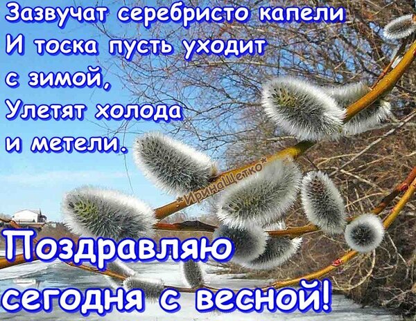 Красивая открытка с вербой и стихами: «Поздравляю сегодня с весной!». Праздничное изображение для пожеланий тепла и весеннего настроения. Открытка 1-ый день весны Красочное поздравительное изображение с ветками вербы, покрытыми пушистыми серебристыми почками, на фоне весеннего неба. На картинке наложен текст поэтическим шрифтом: «Зазвучат серебристо капели / И тоска пусть уходит с зимой, / Улетят холода и метели. / Поздравляю сегодня с весной!»