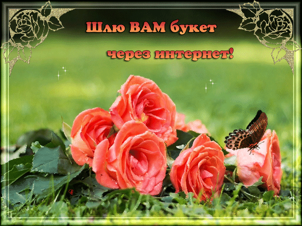Виртуальная открытка с букетом розовых роз и бабочкой. Текст: Шлю ВАМ букет через интернет!. Красивое поздравление для отправки в соцсетях и мессенджерах. Анимированная открытка Шлю вам букет через интернет! Красивая поздравительная открытка с букетом нежных розовых роз на зеленой траве. На изображении также видна красивая бабочка, подчеркивающая природную эстетику. Сверху расположен праздничный текст на русском языке: 
