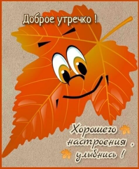 Осенняя открытка «Доброе утречко!» с улыбающимся кленовым листиком. Пожелание хорошего настроения и улыбки в ярких осенних тонах. Открытка Доброе утречко! Хорошего настроения, улыбнись! Яркая и позитивная осенняя открытка с мультяшным персонажем в виде оранжевого кленового листа. У листа выразительные глаза и добрая улыбка. На картинке расположены надписи на русском языке: «Доброе утречко!» сверху и «Хорошего настроения, улыбнись!» снизу