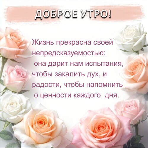 Красивая открытка «Доброе утро!» с нежными розами и вдохновляющей цитатой о ценности каждого дня. Идеально для пожелания хорошего настроения! Открытка Доброе утро! Жизнь прекрасна своей непредсказуемостью: она дарит нам испытания, чтобы закалить дух Красивая поздравительная открытка с надписью «Доброе утро!» на фоне нежных розовых и белых роз. Изображение содержит вдохновляющую цитату о жизни: «Жизнь прекрасна своей непредсказуемостью: она дарит нам испытания, чтобы закалить дух, и радости, чтобы напомнить о ценности каждого дня»