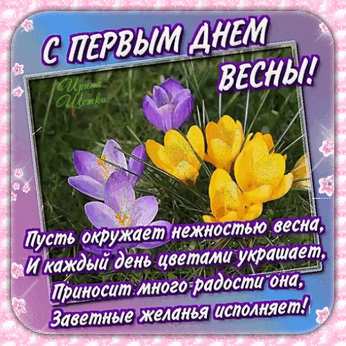 Поздравление с первым днем весны: яркие крокусы и нежное стихотворение на красивой открытке. Отправьте близким весеннее настроение! Анимированная открытка С первым днем весны! Красивая поздравительная открытка к первому дню весны. На изображении запечатлены яркие весенние цветы — фиолетовые и желтые крокусы, пробивающиеся сквозь зеленую траву. Картинка оформлена нежной розовой рамкой с цветочными элементами. На изображении нанесен текст на русском языке: праздничное поздравление «С первым днем весны!» и трогательное стихотворение о том, что весна должна окружать нежностью, украшать каждый день цветами, приносить радость и исполнять заветные желания