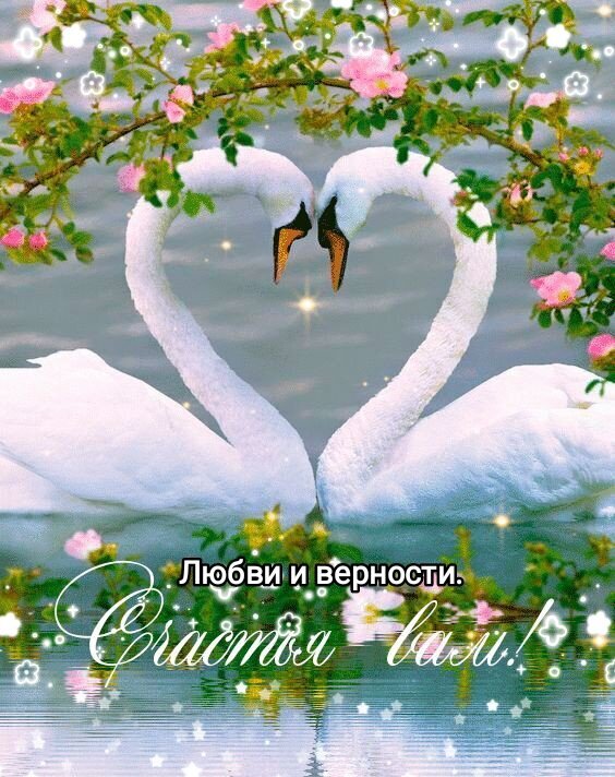Романтичная открытка с двумя лебедями в форме сердца, цветами и надписью «Любви и верности. Счастья вам!». Идеальное поздравление с любовью и свадьбой. Открытка Счастья вам. Любви и верности. Романтическое изображение двух белых лебедей, чьи шеи образуют форму сердца, символизирующую любовь и верность. Птицы плавают на спокойной водной глади, окруженные нежными розовыми цветами и зеленью. Картинка украшена сверкающими искрами и блестками, создающими волшебную атмосферу. В нижней части расположена поздравительная надпись на русском языке: 