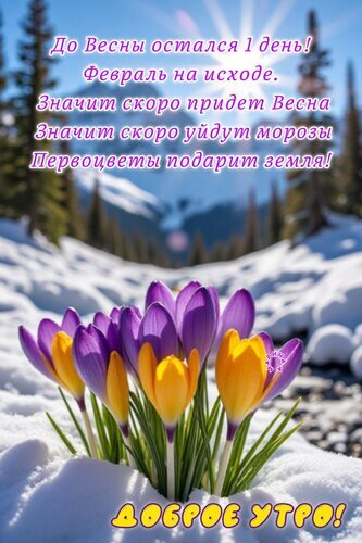 Красочная открытка «Доброе утро!» с крокусами сквозь снег и пожеланием скорой весны. Идеально для поздравлений в WhatsApp и соцсетях. Открытка Доброе утро! До весны остался 1 день! Красивая открытка с изображением весенних первоцветов (крокусов) фиолетового и желтого цвета, пробивающихся сквозь белый снег. На фоне — живописный зимний пейзаж с горами и хвойным лесом под голубым небом. На картинке размещен оптимистичный текст на русском языке о скором приходе весны и уходе морозов, а также приветствие «Доброе утро!»