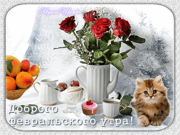 Красивая открытка «Доброго февральского утра!» с красными розами, котенком, кофе и фруктами. Уютное поздравление для близких и друзей. Анимированная открытка Доброго февральского утра! Красивая праздничная открытка к февральскому утру. На композиции изображен букет алых роз в белой вазе, корзина спелых абрикосов, чашка кофе, десерт и милый пушистый котенок. Атмосфера уюта и нежности, дополненная надписью на русском языке «Доброго февральского утра!»