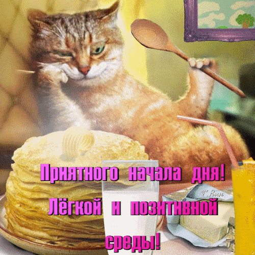 Доброе утро и позитивная среда! Забавный кот с завтраком (блины, молоко, сок) — идеальная открытка для пожелания хорошего дня и отличного настроения в среду. Анимированная открытка Приятного начала дня! Легкой и позитивной среды! Забавный и позитивный мем с рыжим котом, который отдыхает рядом с аппетитным завтраком. На картинке изображена высокая стопка пышных блинчиков с маслом, стакан свежего молока и стакан сока. Кот в расслабленной позе держит деревянную ложку, создавая атмосферу уюта и хорошего настроения. На изображении наложен текст на русском языке: 