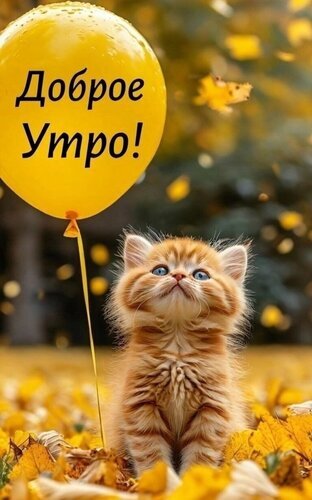 Милая открытка «Доброе утро!» с рыжим котенком и желтым шариком на фоне осенних листьев. Позитивное изображение для пожелания доброго утра. Открытка Доброе утро Милая и солнечная открытка для доброго утра. На изображении очаровательный рыжий котенок с голубыми глазами, сидящий среди осенних золотых листьев. Над котенком парит большой ярко-желтый воздушный шар с надписью «Доброе Утро!» на русском языке. Теплая осенняя атмосфера, мягкое размытое освещение и уютная цветовая гамма создают позитивное настроение для начала дня