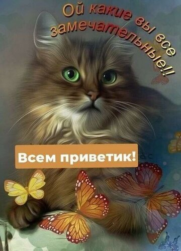 Милая открытка с пушистым котиком и бабочками. Текст: Ой какие вы все замечательные!! Всем приветик!. Идеально для поднятия настроения и добрых пожеланий. Открытка Всем приветик! Милая и добрая открытка с изображением пушистого котика с выразительными зелеными глазами. На картинке изображен очаровательный длинношерстный кот в окружении ярких бабочек. Сверху расположен теплый текст на русском языке: Ой какие вы все замечательные!!, а внизу — дружелюбное приветствие Всем приветик!