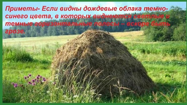 Народная примета о приближении грозы на фоне сельского пейзажа со стогом сена и зеленым лугом. Текст о признаках дождя и облаках. Открытка Приметы - Если видны дождевые облака темно-синего цвета, в которых виднеются светлые и темные горизо Изображение сельского пейзажа с большой стогом сена на фоне зеленого луга и леса. На картинке наложен текст на русском языке, содержащий народную примету о погоде: если видны темно-синие дождевые облака с горизонтальными светлыми и темными полосами, то скоро будет гроза