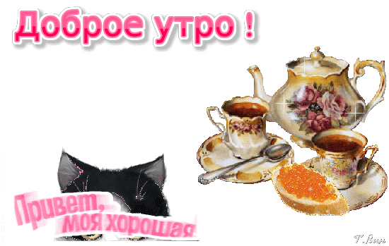 Открытка «Доброе утро!»: изысканный чайный сервиз, икра и милый черный котик. Приятное пожелание для подруги и близких. Скачать красивое утро! Анимированная открытка Доброе утро! Привет, моя хорошая! Красивая поздравительная открытка с надписью «Доброе утро!» на белом фоне. На изображении представлена изысканная чайная сервиз с чашкой ароматного чая, изящным чайником с цветочным узором и тарелкой с золотистой икрой. В углу расположена милая мордочка черного котика с надписью «Привет, моя хорошая»