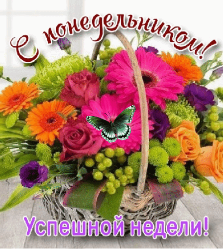 Поздравительная открытка «С понедельником! Успешной недели!» с ярким букетом цветов в корзине и бабочкой. Идеально для добрых пожеланий в соцсетях. Анимированная открытка С Понедельником! Успешной недели! Красочная поздравительная открытка с пышным букетом ярких цветов в плетеной корзине. В композиции представлены розовые и оранжевые герберы, розы, фиолетовые лизиантусы и зелень, украшенная изящной зеленой бабочкой. На изображении расположены надписи на русском языке: «С понедельником!» сверху и «Успешной недели!» снизу