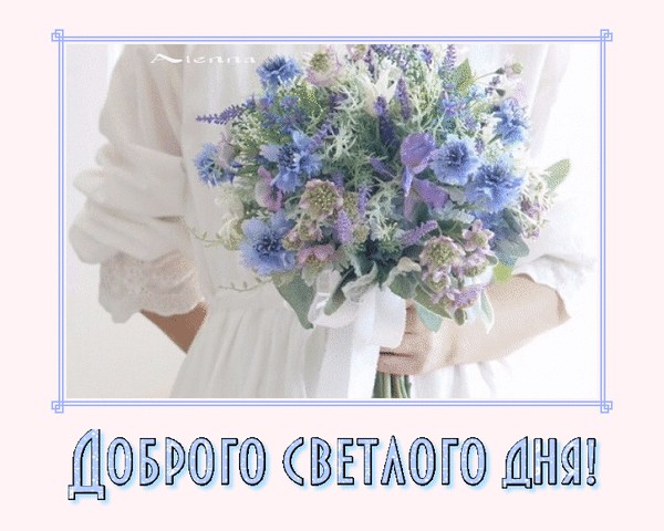 Открытка «Доброго светлого дня!» с нежным букетом цветов. Красивое пожелание для мессенджеров и соцсетей. Светлая и вдохновляющая картинка-пожелание. Анимированная открытка Доброго дня Красивая поздравительная открытка с нежным букетом полевых цветов в руках у девушки. На изображении представлен пышный микс лавандовых, синих и нежно-фиолетовых цветов, дополненный зеленью. В нижней части картинки расположена вдохновляющая надпись на русском языке «ДОБРОГО СВЕТЛОГО ДНЯ!». Изображение выполнено в светлых, пастельных тонах, создает ощущение уюта, тепла и утренней свежести Открытка «Доброго светлого дня!» с нежным букетом цветов. Красивое пожелание для мессенджеров и соцсетей. Светлая и вдохновляющая картинка-пожелание. Анимированная открытка Доброго дня Красивая поздравительная открытка с нежным букетом полевых цветов в руках у девушки. На изображении представлен пышный микс лавандовых, синих и нежно-фиолетовых цветов, дополненный зеленью. В нижней части картинки расположена вдохновляющая надпись на русском языке «ДОБРОГО СВЕТЛОГО ДНЯ!». Изображение выполнено в светлых, пастельных тонах, создает ощущение уюта, тепла и утренней свежести