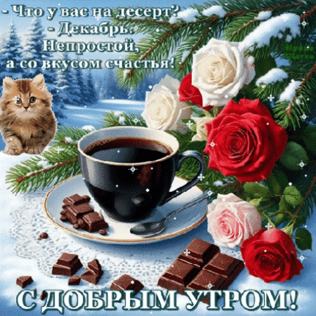 Уютная зимняя открытка «С добрым утром!» с кофе, шоколадом, розами и котенком. Пожелание счастливого декабря и вдохновляющая цитата для настроения. Анимированная открытка Доброе утро! Красивая праздничная открытка с пожеланием доброго утра. На изображении представлена чашка горячего черного кофе на блюдце, кусочки темного шоколада и изысканный букет из белых и красных роз на фоне зимнего пейзажа с заснеженными еловыми ветками. Слева сидит милый рыжий котенок. На картинке размещен вдохновляющий текст на русском языке: 