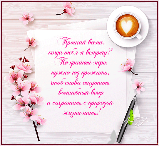Романтичная открытка с цитатой о весне, чашкой кофе с сердечком и цветами сакуры на светлом фоне. Эстетичное изображение для соцсетей и пожеланий. Анимированная открытка Последний день весны! Эстетичная открытка с романтичным текстом на русском языке на фоне светлого деревянного стола. На изображении запечатлена чашка кофе с латте-артом в виде сердца, нежные розовые цветы вишни (сакуры) и элегантная черная ручка. Центральное место занимает надпись каллиграфическим шрифтом: «Прощай весна, когда тебя я встречу? Но крайней мере, нужно год прожить, чтоб снова ощутить волшебный вечер и сохранить с природой жизни нить!». Изображение передает атмосферу легкой грусти, весеннего прощания и вдохновения