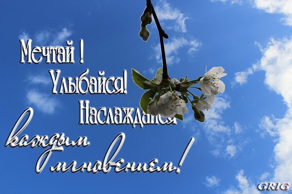 Вдохновляющая цитата на фоне цветущей ветки и синего неба: «Мечтай! Улыбайся! Наслаждайся каждым мгновением!». Мотивационная картинка для позитива и счастья. Открытка Мечтай! Улыбайся! Наслаждайся каждым мгновением! Эстетичное вдохновляющее изображение с надписью на русском языке: «Мечтай! Улыбайся! Наслаждайся каждым мгновением!». На фоне ярко-синего неба с легкими белыми облаками изображена изящная ветка цветущего дерева с нежными белыми цветами. Картинка несет позитивный посыл, мотивирует к осознанной жизни и умению радоваться мелочам Вдохновляющая цитата на фоне цветущей ветки и синего неба: «Мечтай! Улыбайся! Наслаждайся каждым мгновением!». Мотивационная картинка для позитива и счастья. Открытка Мечтай! Улыбайся! Наслаждайся каждым мгновением! Эстетичное вдохновляющее изображение с надписью на русском языке: «Мечтай! Улыбайся! Наслаждайся каждым мгновением!». На фоне ярко-синего неба с легкими белыми облаками изображена изящная ветка цветущего дерева с нежными белыми цветами. Картинка несет позитивный посыл, мотивирует к осознанной жизни и умению радоваться мелочам