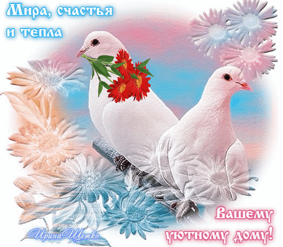 Открытка с белыми голубями и красными цветами. Надпись: «Мира, счастья и тепла вашему уютному дому!». Идеально для душевных поздравлений и пожеланий уюта. Анимированная открытка Мира, счастья, тепла вашему уютного дома! Красивая поздравительная открытка с изображением двух белых голубей, держащих в клювах ветку с ярко-красными цветами. Фон выполнен в нежных пастельных тонах с декоративными светлыми цветами. На картинке присутствует текст на русском языке: «Мира, счастья и тепла вашему уютному дому!»