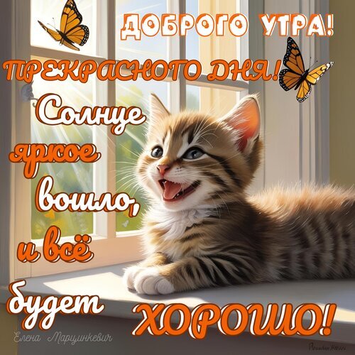 Доброе утро! Милая открытка с котенком и пожеланием прекрасного дня. Солнечная картинка для поднятия настроения и позитивного начала дня! Открытка Доброго утра! Прекрасного дня! Солнце яркое взошло, и все будет хорошо! Милая и вдохновляющая открытка с изображением пушистого рыжего котенка, лежащего на подоконнике у окна. На фоне видны солнечный свет и летящие бабочки. На картинке размещен оптимистичный текст на русском языке: «Доброго утра! Прекрасного дня! Солнце яркое вошло, и все будет хорошо!»