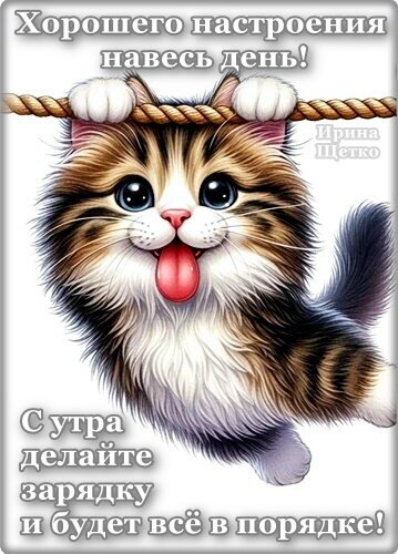 Милая открытка с котенком: пожелание хорошего настроения и бодрого утра! Картинка с призывом делать зарядку для отличного самочувствия. Открытка Хорошего настроения! Милая и позитивная открытка с пушистым котенком, который весело висит на веревке. Изображение наполнено радостью и оптимизмом, идеально подходит для пожелания хорошего настроения, бодрого утра и мотивации делать зарядку