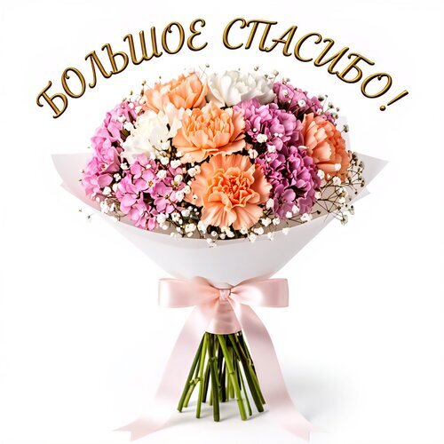 Букет нежных роз и гвоздик с надписью «БОЛЬШОЕ СПАСИБО!». Идеальная картинка-открытка для выражения благодарности и признательности близким и коллегам. Открытка Большое спасибо! Красивый и пышный букет из нежных гвоздик розового, персикового и белого цветов, дополненный мелкими белыми цветами гипсофилы. Букет аккуратно упакован в белую матовую бумагу и перевязан изящной атласной лентой светло-розового цвета. Сверху расположена золотистая надпись «Большое спасибо!»