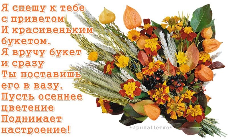 Осенний букет с теплыми цветами и колосьями. Красочная открытка с добрыми стихами для поднятия настроения и поздравления с осенним настроением. Открытка Пусть осеннее цветение поднимает настроение! Красочный осенний букет из ярких полевых цветов, колосьев пшеницы и декоративных плодов физалиса на светлом фоне. Изображение украшено вдохновляющей поэтичной надписью на русском языке: 