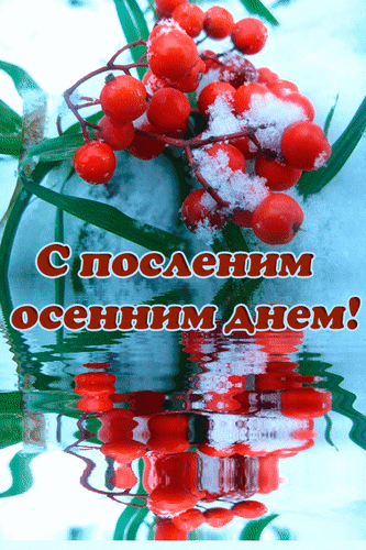 Красивая открытка с красными ягодами в снегу и надписью «С последним осенним днем!». Зимнее осеннее поздравление для соцсетей и мессенджеров. Анимированная открытка С последним осенним днем! Красочное поздравительное изображение с веткой спелых красных ягод, покрытых легким слоем снега, на фоне зимнего пейзажа. В центре расположена надпись на русском языке: «С последним осенним днем!», выполненная стильным шрифтом с золотистым контуром. Изображение содержит эффект зеркального отражения ягод в воде или на льду, создавая атмосферу уходящей осени и прихода зимы