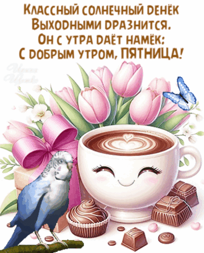 Позитивная открытка С добрым утром, пятница!. Кофе, розовые тюльпаны, шоколад и попугайчик. Идеальное пожелание хорошего дня и скорых выходных! Анимированная открытка С добрым утром, пятница! Яркая и позитивная поздравительная открытка, посвященная утру пятницы. На изображении представлен уютный натюрморт: чашка кофе с сердечком из пенки, нежные розовые тюльпаны, изысканные шоколадные конфеты и очаровательный голубой попугайчик. В верхней части расположена теплая надпись на русском языке: 