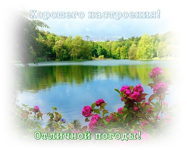 Красивый пейзаж с озером, лесом и розовыми цветами. Пожелание «Хорошего настроения! Отличной погоды!» — идеальная открытка для позитивного настроя. Открытка Хорошего настроения Живописный летний пейзаж с тихим озером, окруженным густым зеленым лесом. На переднем плане — яркие розовые цветы, добавляющие красок композиции. Изображение оформлено поздравительной надписью на русском языке: «Хорошего настроения! Отличной погоды!», что делает его идеальным для открытки, пожелания доброго утра или позитивного настроя в социальных сетях