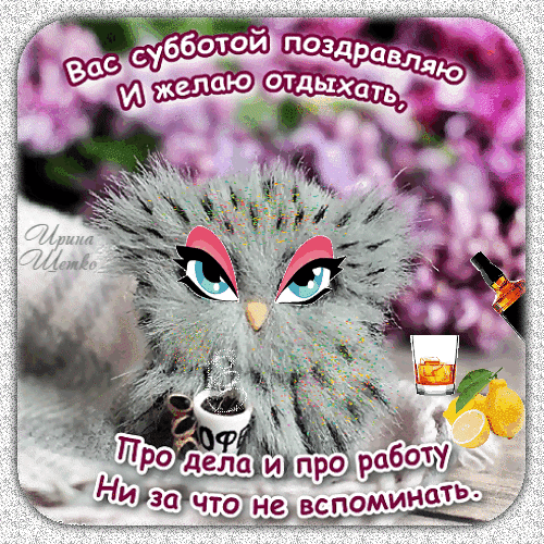 Забавная открытка с субботой: пушистый зверек, кофе и отдых. Поздравление: желаю отдыхать и не вспоминать о работе! Идеально для WhatsApp и соцсетей. Анимированная открытка Вас с субботой поздравляю... Милая и забавная открытка к субботе с пушистым серым персонажем, напоминающим котенка или хомячка, с выразительными глазами. На изображении присутствуют элементы отдыха: стакан с напитком и лимоном, а также чашка кофе. Сверху расположен поздравительный текст на русском языке: 
