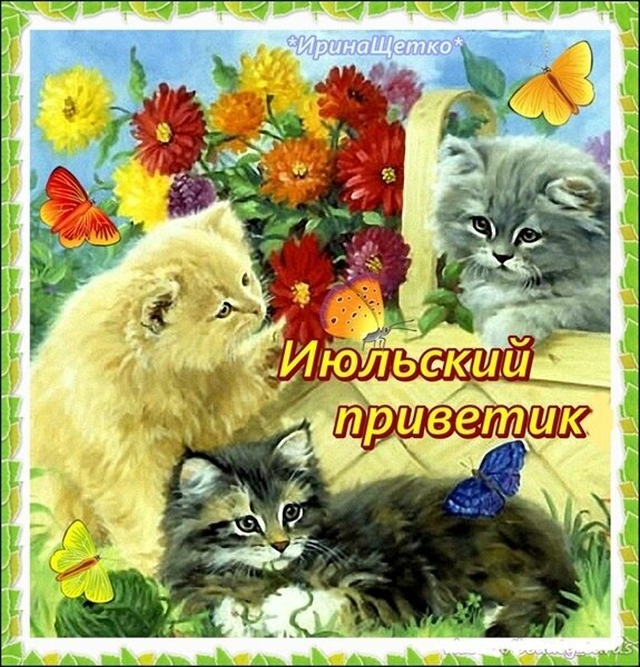 Милая летняя открытка «Июльский приветик» с пушистыми котятами, яркими цветами и бабочками. Идеально для доброго пожелания и летнего настроения! Открытка Июльский приветик Милая и яркая открытка, посвященная июлю, с изображением трех очаровательных пушистых котят в окружении летних цветов и бабочек. На картинке представлены котята разных окрасов: светлый, серый и полосатый, которые играют среди пышных садовых цветов — желтых, красных и оранжевых. Надпись «Июльский приветик» выполнена красивым золотистым шрифтом с контуром Милая летняя открытка «Июльский приветик» с пушистыми котятами, яркими цветами и бабочками. Идеально для доброго пожелания и летнего настроения! Открытка Июльский приветик Милая и яркая открытка, посвященная июлю, с изображением трех очаровательных пушистых котят в окружении летних цветов и бабочек. На картинке представлены котята разных окрасов: светлый, серый и полосатый, которые играют среди пышных садовых цветов — желтых, красных и оранжевых. Надпись «Июльский приветик» выполнена красивым золотистым шрифтом с контуром