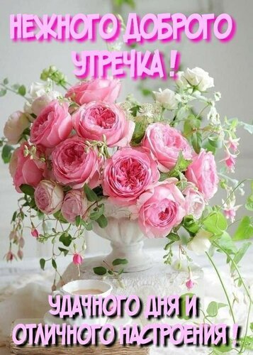 Открытка с розовыми розами: пожелание нежного утра, удачного дня и отличного настроения. Красивый букет цветов для доброго начала дня! Открытка Нежного доброго утречка! Удачного дня и отличного настроения! Красивая поздравительная открытка с пышным букетом нежно-розовых садовых роз в белой вазе. На картинке нанесен текст на русском языке: «Нежного доброго утречка! Удачного дня и отличного настроения!». Композиция дополнена изящными зелеными ветвями и чашкой кофе на переднем плане, создавая уютную и светлую атмосферу