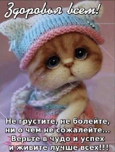 Милый котенок в шапочке с добрыми пожеланиями: «Здоровья всем! Не грустите, не болейте... Верьте в чудо и успех!». Идеальная картинка для хорошего настроения. Открытка Здоровья Милая и трогательная картинка с изображением очаровательного рыжего котенка в вязаной шапочке и свитере. На изображении расположен позитивный текст на русском языке: «Здоровья всем! Не грустите, не болейте, ни о чем не сожалейте... Верьте в чудо и успех и живите лучше всех!!!». Это идеальное изображение для пожелания доброго утра, хорошего настроения, вдохновения и оптимизма