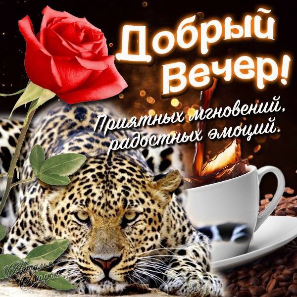 Открытка «Добрый вечер!» с леопардом, красной розой и чашкой кофе. Пожелание приятных мгновений и радостных эмоций для ваших близких. Открытка Добрый вечер! Красивая поздравительная открытка на вечер с изображением грациозного леопарда, пышной красной розы и чашки ароматного кофе. На картинке размещен текст на русском языке: «Добрый вечер! Приятных мгновений, радостных эмоций». Композиция сочетает в себе эстетику дикой природы, нежность цветка и уют вечернего чаепития