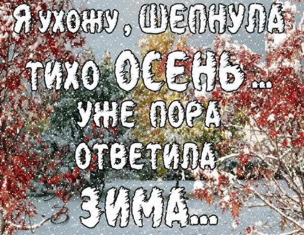 Осенне-зимняя открытка с цитатой: «Я ухожу, шепнула тихо осень... Уже пора ответила зима...». Красивый фон с осенней листвой и снегом. Анимированная открытка Последний день осени Красивая поздравительная открытка с осенне-зимним настроением. На фоне золотых и багряных осенних листьев, покрытых первым снегом, расположена романтичная надпись на русском языке: «Я ухожу, шепнула тихо осень... Уже пора ответила зима...». Изображение передает атмосферу смены сезонов, увядания природы и прихода холодов