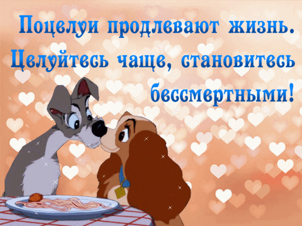 Романтическая открытка с Леди и Бродягой и цитатой «Поцелуи продлевают жизнь». Милая картинка с сердечками для влюбленных и пожеланий любви. Анимированная открытка Поцелуи продлевают жизнь! Целуйтесь чаще, становитесь бессмертными! Романтичная открытка с персонажами мультфильма «Леди и Бродяга», которые нежно целуются на фоне летающих сердечек. На изображении размещена вдохновляющая цитата на русском языке: «Поцелуи продлевают жизнь. Целуйтесь чаще, становитесь бессмертными!». Теплая бежево-персиковая цветовая гамма с мягким свечением создает атмосферу любви, нежности и сказки