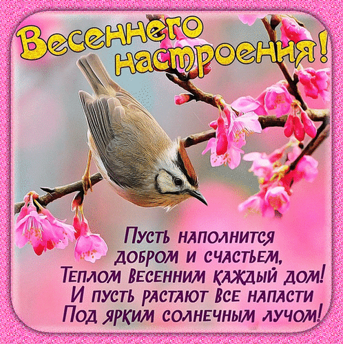 Весенняя открытка с птицей на цветущей сакуре. Пожелание весеннего настроения, добра и счастья в каждом доме. Красивое поздравление с весной! Анимированная открытка Весеннего настроения! Пусть наполнится Добром и Счастьем Красочная открытка с изображением маленькой певчей птицы, сидящей на ветке цветущей сакуры. На фоне нежные розовые цветы и весенняя атмосфера. На картинке расположен праздничный текст на русском языке: «Весеннего настроения! Пусть наполнится добром и счастьем, теплом весенним каждый дом! И пусть растают все напасти под ярким солнечным лучом!»