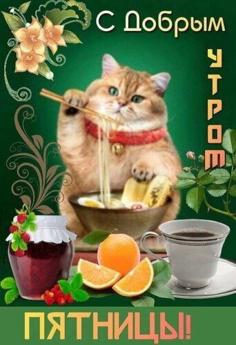 Милый рыжий котенок ест лапшу с чашкой кофе и фруктами. Позитивная картинка с надписью «С добрым утром, пятницы!» для хорошего настроения. Открытка С Добрым утром Пятницы! Милое и позитивное изображение для пожелания доброго утра в пятницу. На картинке изображен очаровательный рыжий котенок, который с аппетитом ест лапшу из миски. Композицию дополняют чашка кофе, свежий апельсин, ягоды и баночка джема на фоне декоративных цветов