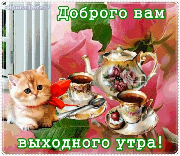Милая открытка: рыжий котенок, чайный сервиз и розовые розы. Пожелание доброго выходного утра для хорошего настроения! Открытка Доброе утро! Красивая открытка для пожелания доброго выходного утра. На изображении милый рыжий котенок с красным бантом, изящный чайный сервиз с цветочными узорами, чашки с ароматным чаем и нежные розовые розы на фоне
