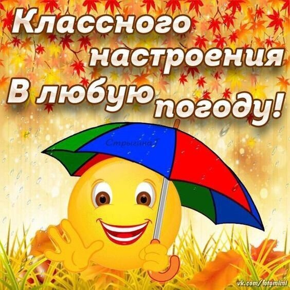 Пожелание классного настроения в любую погоду: веселый смайлик с зонтиком и осенние листья. Яркая открытка для поднятия настроения! Открытка Классного настроения в любую погоду! Яркая праздничная открытка с пожеланием классного настроения в любую погоду. На изображении веселый желтый смайлик, который держит разноцветный зонт под дождем. Фон украшен осенними кленовыми листьями золотистых и красных оттенков