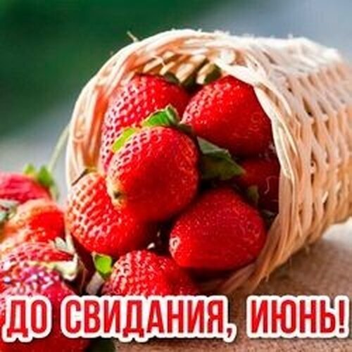 Сочные спелые ягоды клубники в плетеной корзинке с надписью «До свидания, июнь!». Яркое летнее фото для соцсетей и сезонных постов. Открытка До свидания, Июнь! Крупный план спелых, сочных красных клубничных ягод, рассыпанных из плетеной корзины. На переднем плане яркая надпись на русском языке: «До свидания, июнь!»