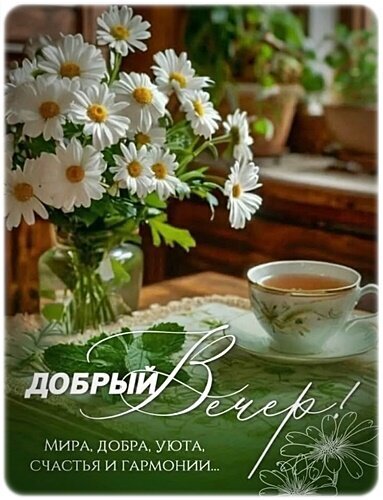 Открытка «Добрый вечер!» с букетом белых ромашек и чашкой чая. Теплое пожелание мира, уюта, счастья и гармонии для близких и друзей. Открытка Добрый вечер! Красивая поздравительная открытка с букетом белых ромашек в вазе и чашкой ароматного чая на уютном столе. На изображении наложен текст на русском языке: «Добрый вечер! Мира, добра, уюта, счастья и гармонии...»