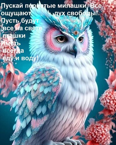 Сказочная голубая сова в пастельных тонах: символ свободы и красоты. Волшебная иллюстрация с детальным оперением для вдохновения и эстетического удовольствия. Открытка Пускай пернатые милашки Все ощущают дух свободы! Пусть будут все на свете пташки Иметь всегда еду и Красочное и вдохновляющее изображение сказочной совы в нежных пастельных тонах. Птица с детализированным оперением небесно-голубого и розового цвета выглядит магически и умиротворяюще. Фон украшен мягкими цветочными элементами, создавая атмосферу свободы и гармонии с природой