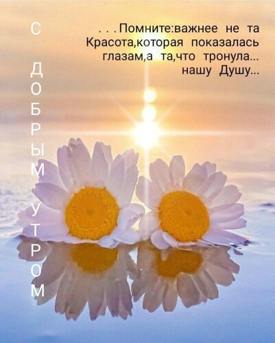 Открытка «С добрым утром» с ромашками и вдохновляющей цитатой о красоте души. Нежное изображение цветов на фоне рассвета и воды для хорошего настроения. Открытка Доброе утро. Восход. Красота и душа. Красивая открытка с пожеланием доброго утра. На изображении — две нежные белые ромашки, отражающиеся в спокойной водной глади на фоне восходящего солнца. Мягкий солнечный свет создает атмосферу умиротворения и тепла. На картинке размещена глубокая философская цитата о внутренней красоте, которая трогает душу