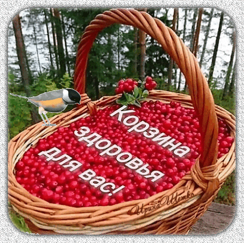 Корзина спелых красных ягод в лесу с надписью «Корзина здоровья для вас!». Символ натуральных продуктов, витаминов и лесного урожая. Анимированная открытка Корзинка здоровья для вас! Красочное изображение корзины, наполненной спелой красной ягодой (клюквой или брусникой), стоящей на фоне хвойного леса. На краю корзины сидит маленькая птичка. На картинке нанесен текст на русском языке: «Корзина здоровья для вас!». Изображение передает атмосферу природы, свежести и пользы лесных даров