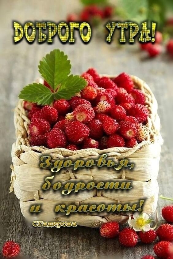 Открытка «Доброго утра!» с корзинкой спелых ягод. Пожелание здоровья, бодрости и красоты для хорошего настроения. Идеально для рассылки в WhatsApp и соцсетях. Открытка Доброе утро! Здоровья, бодрости и красоты! Красочная открытка с пожеланием доброго утра. На изображении крупным планом представлена корзинка, наполненная спелыми, сочными ягодами земляники (или малины) на деревянном фоне. Текст на русском языке гласит: 