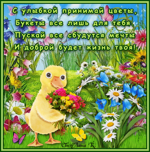 Милая открытка с цыпленком и цветами и добрыми пожеланиями на русском языке. Идеальное поздравление для поднятия настроения и душевных пожеланий. Анимированная открытка С улыбкой принимай цветы, букеты все лишь для тебя... Красивая поздравительная открытка с милым желтым цыпленком, который держит яркий букет полевых цветов. Изображение наполнено солнечным светом, яркими цветами, бабочками и нежным летним пейзажем. На картинке размещен трогательный стих на русском языке о добрых пожеланиях, исполнении мечтаний и радости
