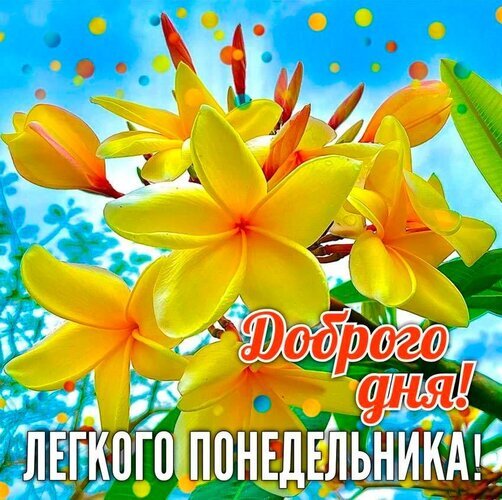 Яркая открытка с желтыми цветами франжипани и пожеланием «Доброго дня! Легкого понедельника!». Идеально для позитивного начала недели. Открытка Легкого Понедельника! Яркая и жизнерадостная открытка с изображением солнечных желтых цветов франжипани (плюмерии) на фоне голубого неба. На изображении присутствует поздравительная надпись на русском языке: «Доброго дня! ЛЕГКОГО ПОНЕДЕЛЬНИКА!»