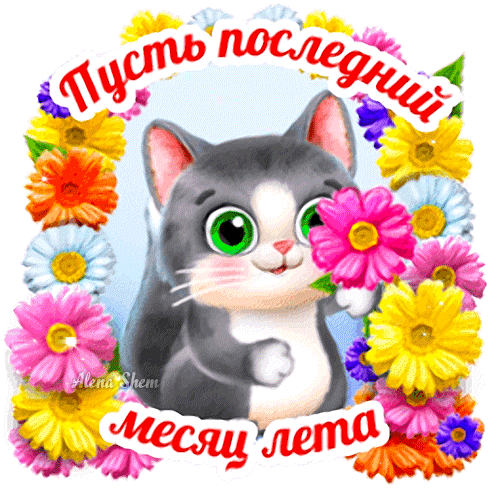 Милая открытка с котенком и цветами: Пусть последний месяц лета.... Яркое летнее пожелание для WhatsApp и соцсетей. Анимированная открытка Пусть последний месяц лета тебе счастье принесет! Милая и яркая поздравительная открытка с изображением очаровательного серого котенка с большими зелеными глазами. Котенок окружен пышным венком из разноцветных летних цветов: розовых, желтых, оранжевых и голубых ромашек. На картинке расположена красивая надпись на русском языке: 