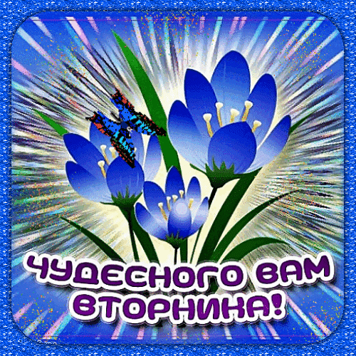 Красочная открытка с синими цветами, бабочкой и надписью «Чудесного вам вторника!». Яркое пожелание доброго дня для соцсетей и мессенджеров. Анимированная открытка Чудесного вам вторника Красочная поздравительная открытка с изображением нежных синих цветов и изящной голубой бабочки на фоне сияющих лучей света. На картинке расположена надпись на русском языке «ЧУДЕСНОГО ВАМ ВТОРНИКА!», выполненная в стильном белом шрифте с фиолетовым контуром. Изображение оформлено в яркой синей блестящей рамке, создавая позитивное и праздничное настроение
