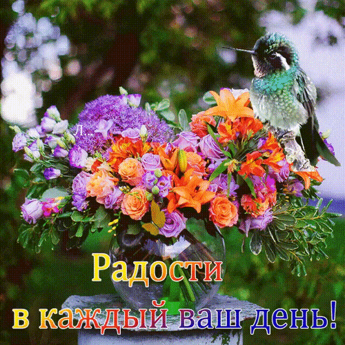 Яркая открытка с букетом цветов и колибри. Надпись: Радости в каждый ваш день!. Красивое пожелание позитива и отличного настроения для близких. Анимированная открытка Радости в каждый ваш день! Красивая и яркая открытка с пышным букетом разноцветных цветов: оранжевых лилий, фиолетовых роз и мелких полевых цветов в стеклянной вазе. Рядом с цветами на ветке сидит очаровательный изумрудный колибри. На переднем плане расположена вдохновляющая надпись на русском языке: 