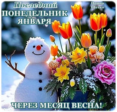 Открытка: Последний понедельник января. Через месяц весна!. Снеговик и весенние цветы (тюльпаны, нарциссы) — идеальное зимнее поздравление для настроения. Открытка Последний понедельник января Яркая поздравительная открытка, символизирующая переход от зимы к весне. На изображении забавный снеговик с улыбкой на фоне букета весенних цветов: ярких оранжевых тюльпанов, желтых нарциссов и розовых роз. В верхней части надпись на русском языке: 